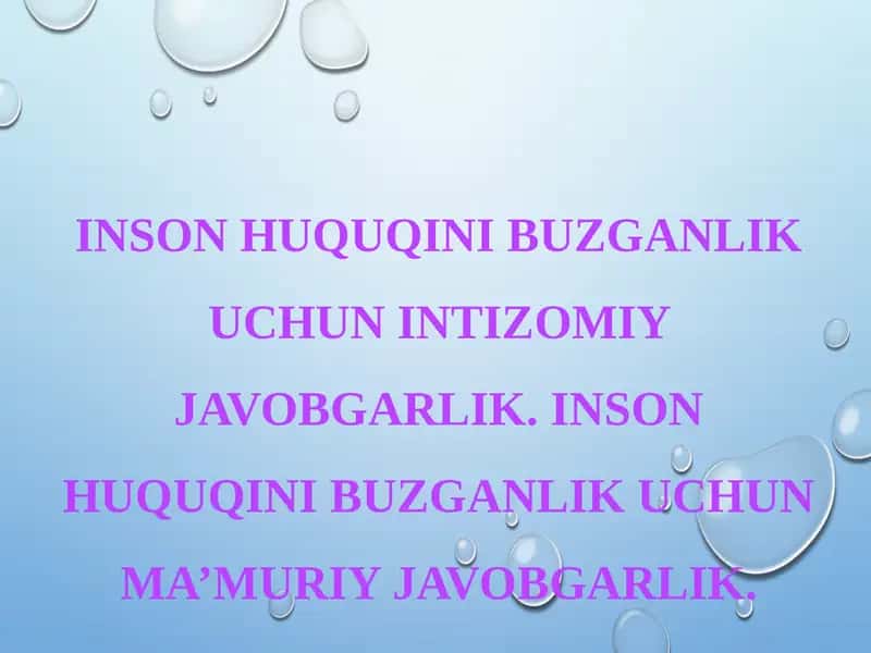 Inson Huquqini Buzganlik Uchun Intizomiy Javobgarlik 1