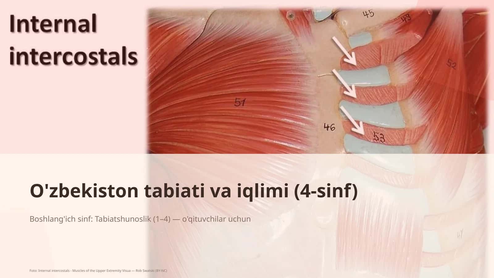 O'zbekiston tabiati va iqlimi (4-sinf) 1