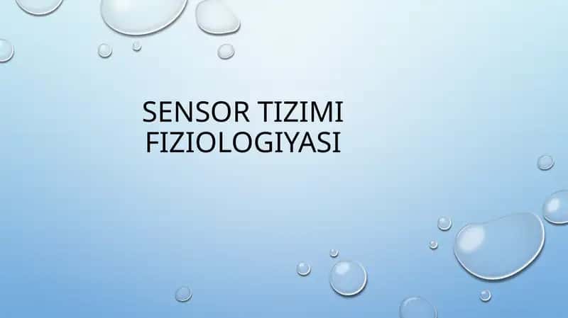SENSOR TIZIMI FIZIOLOGIYASI 1