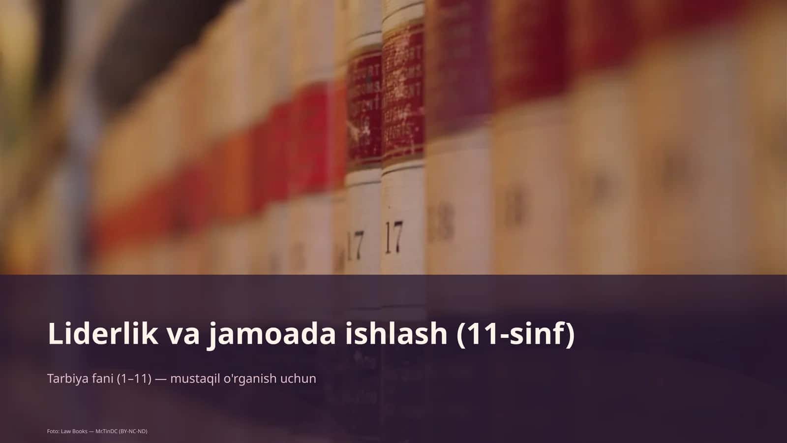 Liderlik va jamoada ishlash (11-sinf) 1