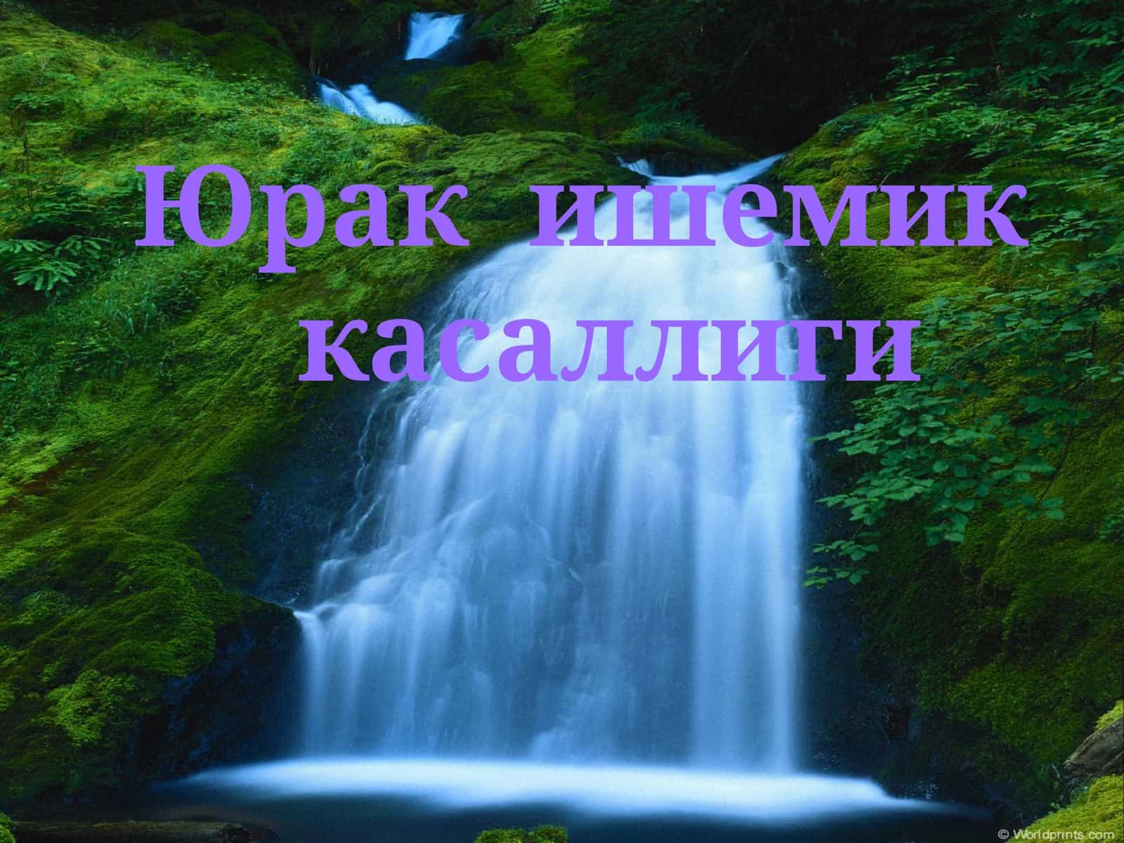 Юрак ишемик касаллиги 1