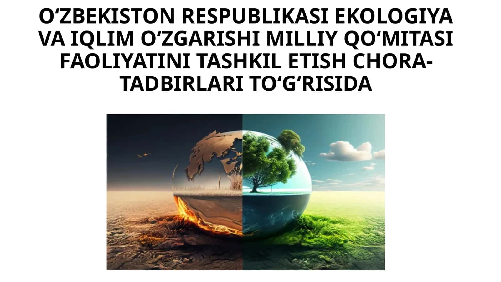 Oʻzbekiston Respublikasi Ekologiya va iqlimoʻzgarishi milliy qoʻmitasi tadbirlari toʻgʻrisida 1