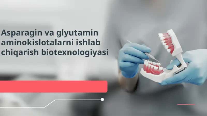 Asparagin va glyutamin aminokislotalarni ishlab chiqarish biotexnologiyasi 1