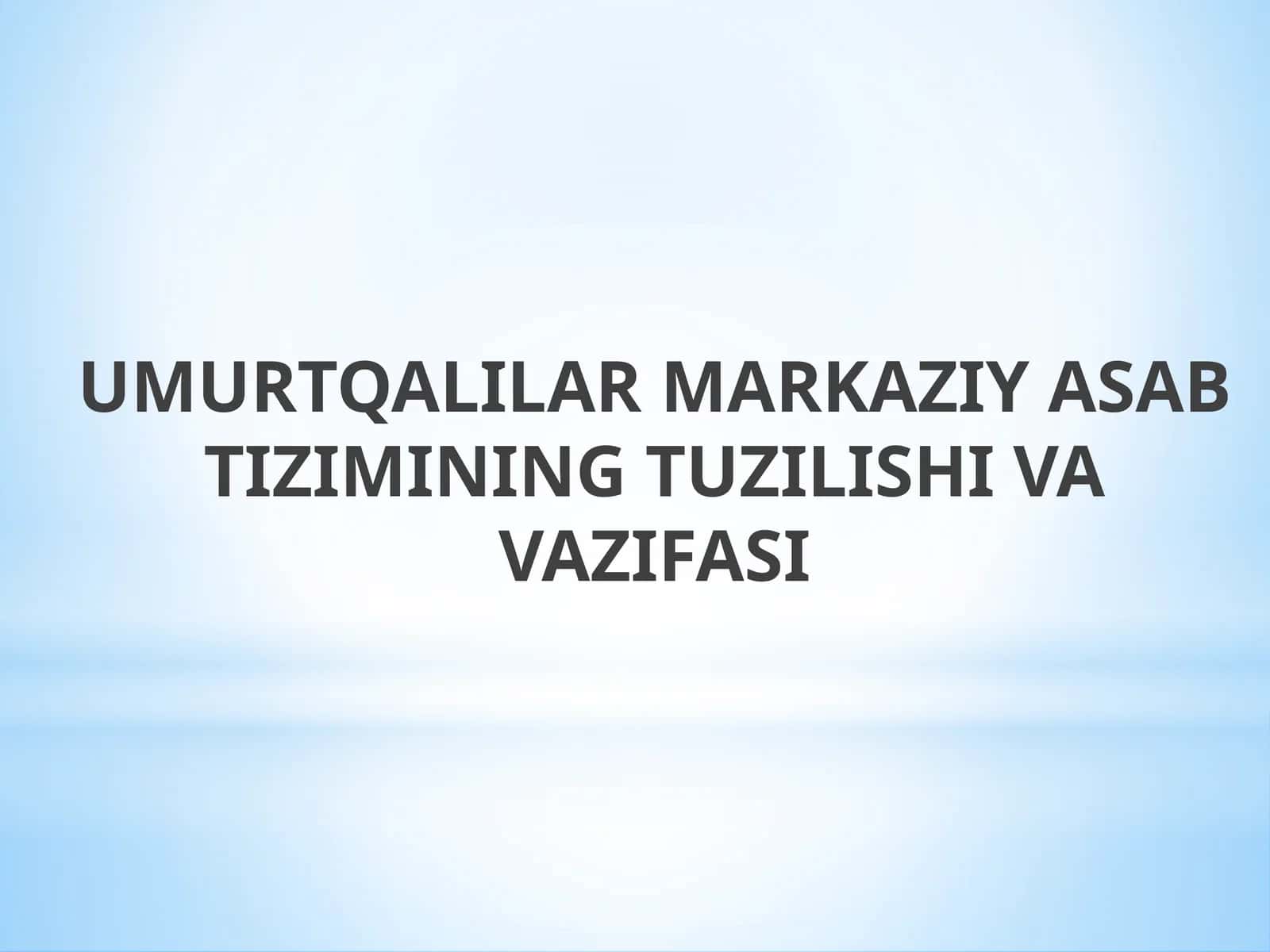 Umurtqalilar markaziy asab tizimining tuzilishi va vazifasi 1