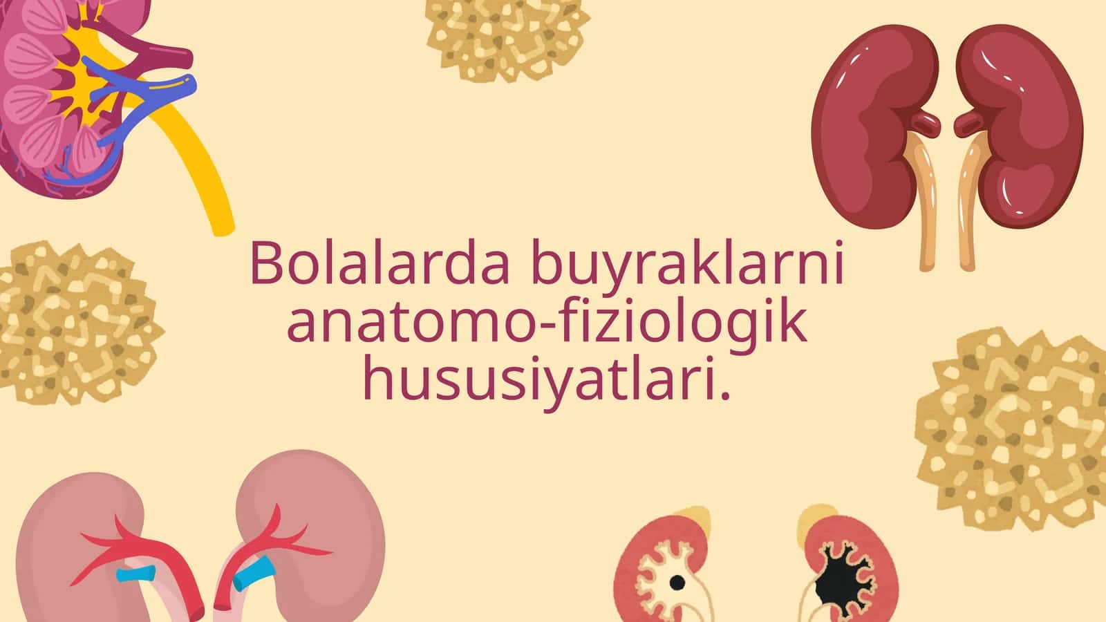 Bolalarda buyraklarni anatomo-fiziologik hususiyatlari. 1