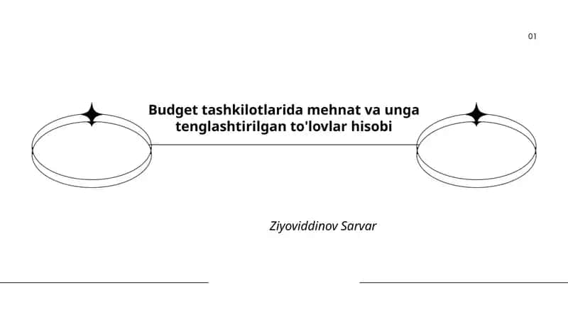 Byudjet tashkilotlarida ish haqi hisob-kitobi va to'lovlar tartibi 1