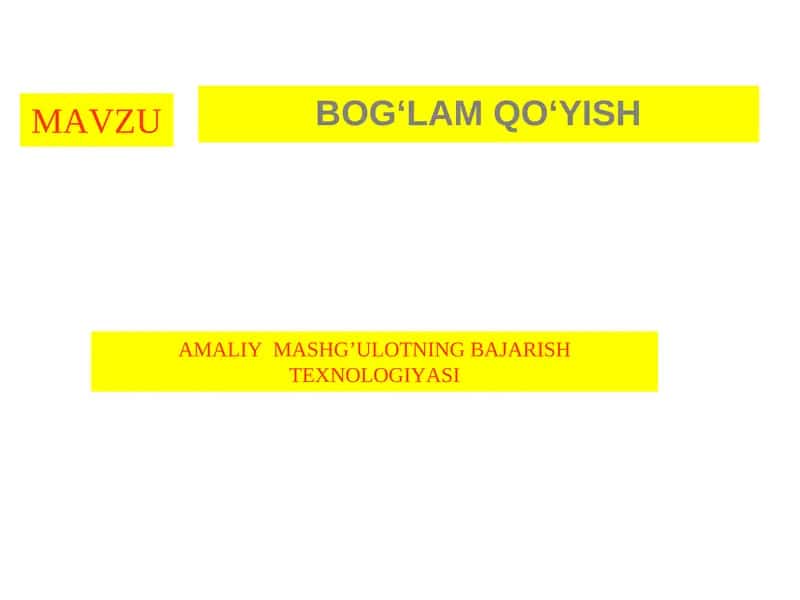 AMALIY MASHG’ULOTNING BAJARISH TEXNOLOGIYASI 1