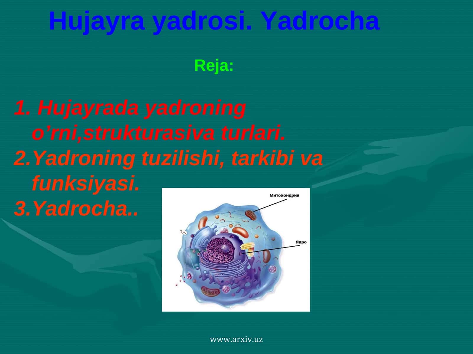 Yadrocha 1