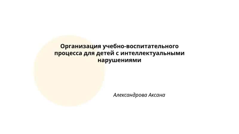 Организация учебно-воспитательного процесса для детей с интеллектуальными нарушениями 1