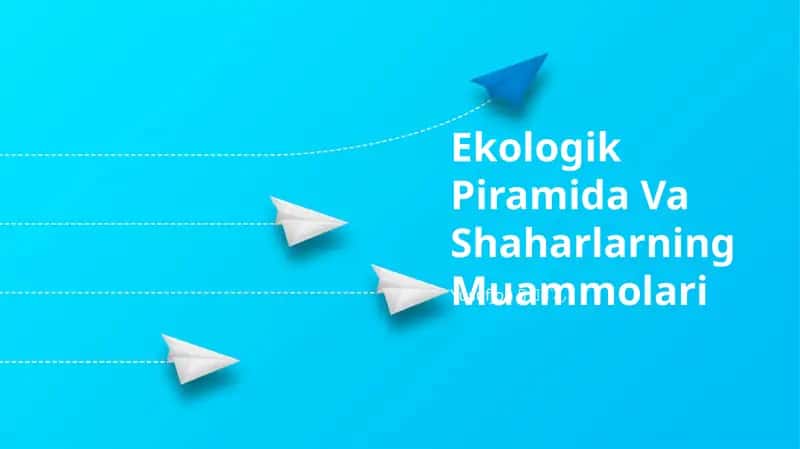 Ekologik Piramida Va Shaharlarning Muammolari 1