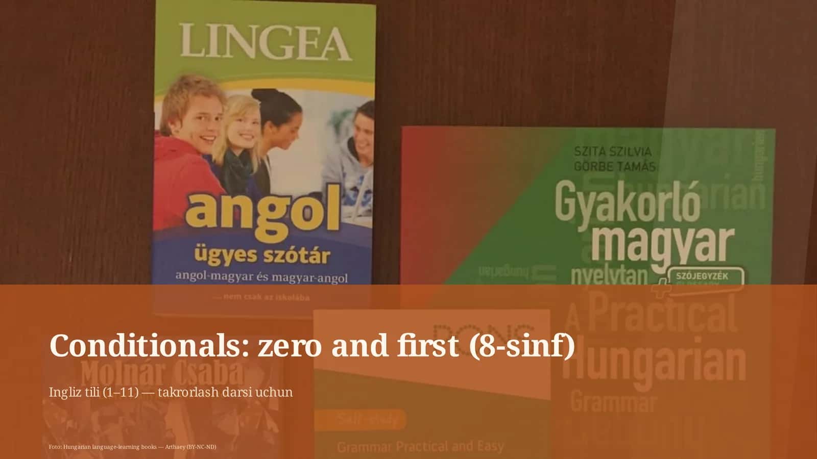 Conditionals: zero and first (8-sinf) 1