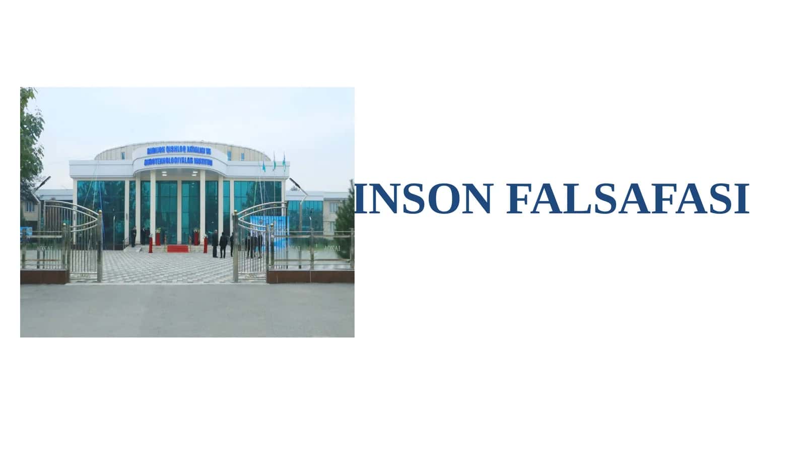 INSON FALSAFASI 1