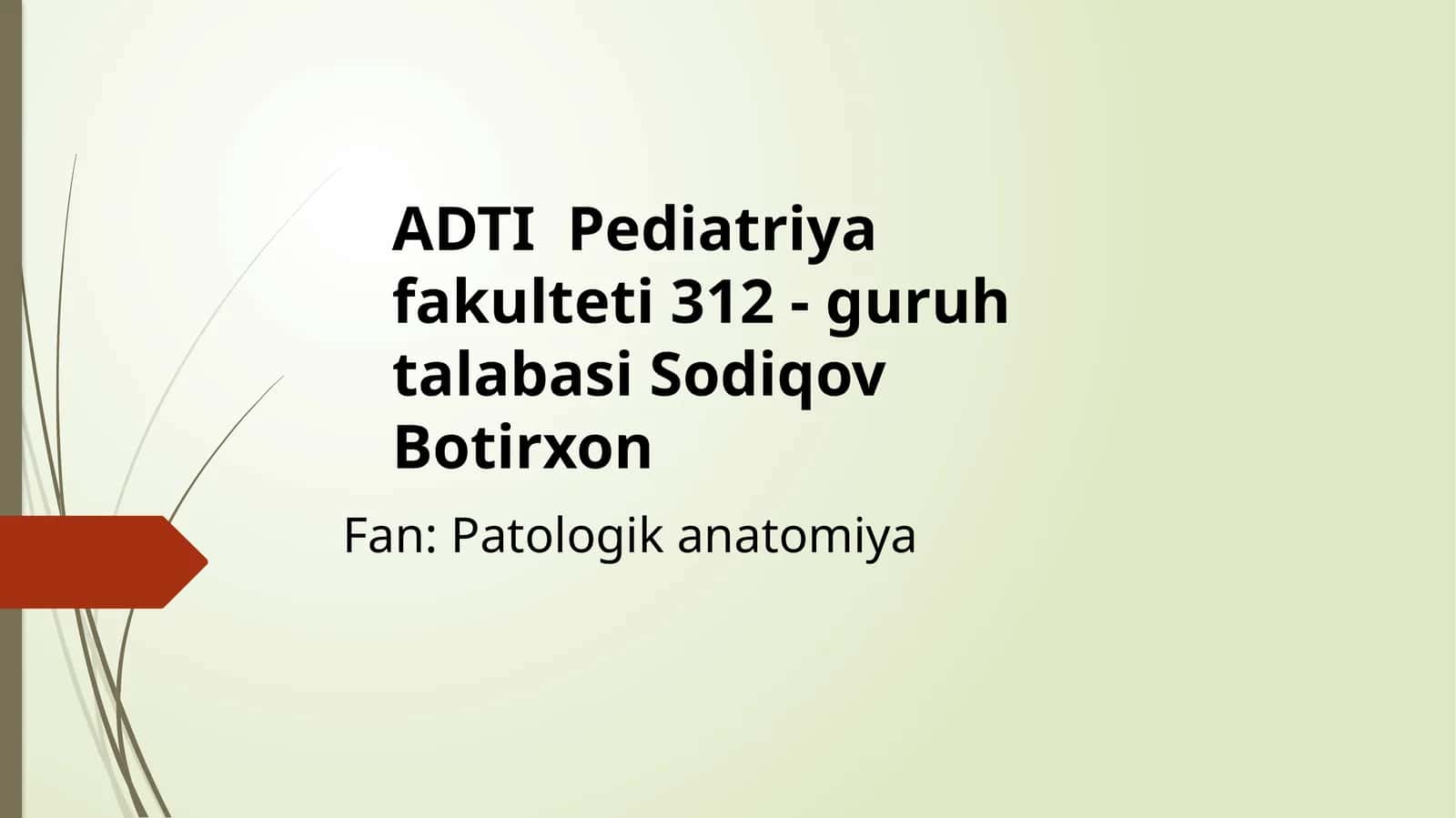 PerikardAnatomiyasivaFiziologiyasi 1