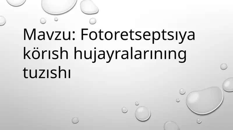 Fotoretseptsıya körısh hujayralarınıng tuzıshı 1