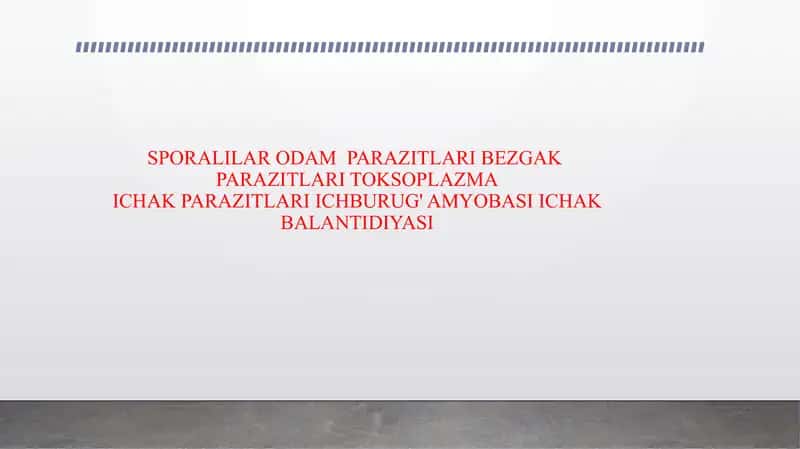 SPORALILAR ODAM PARAZITLARI BEZGAK PARAZITLARI TOKSOPLAZMA ICHAK PARAZITLARI ICHBURUG' AMYOBASI ICHAK BALANTIDIYASI 1