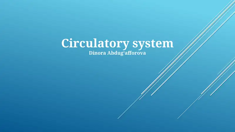 Circulatory system 1
