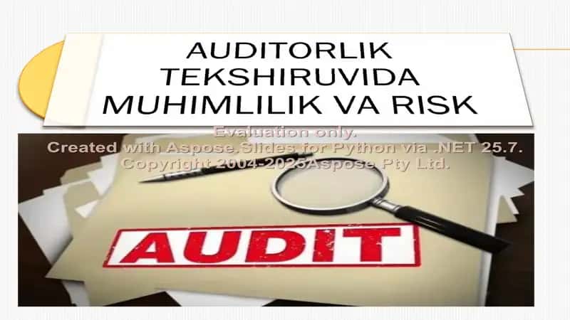 AUDITORLIK TEKSHIRUVIDA MUHIMLILIK VA RISK 1