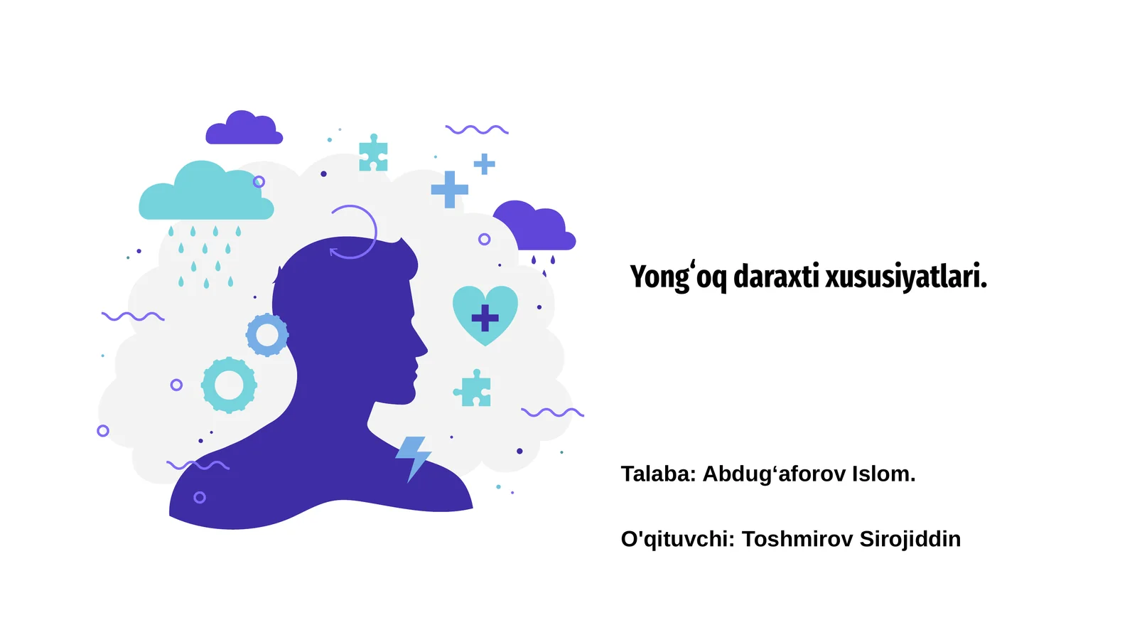Yongʻoq daraxti xususiyatlari 1