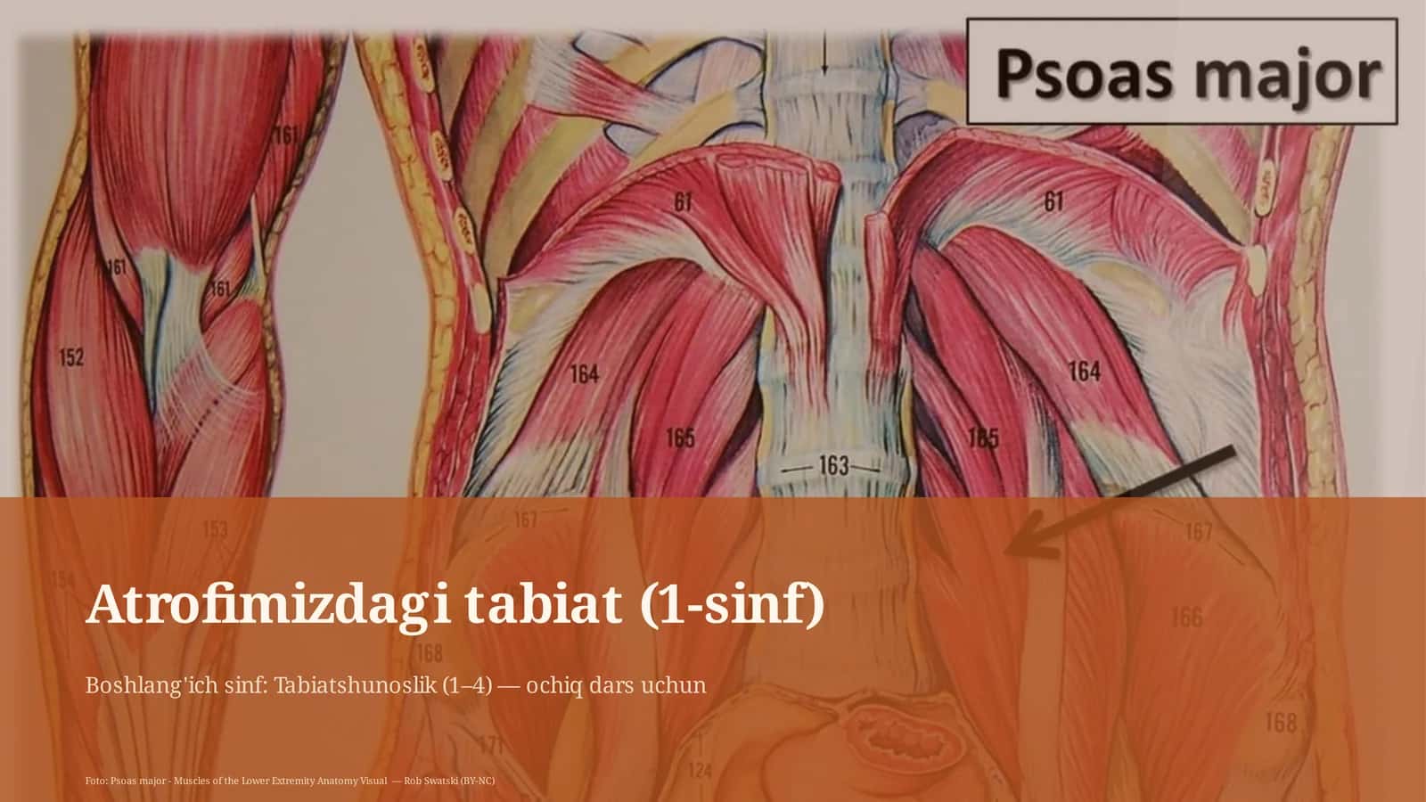 Atrofimizdagi tabiat (1-sinf) 1