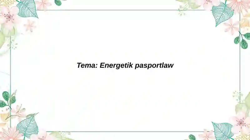 Energetik Pasport