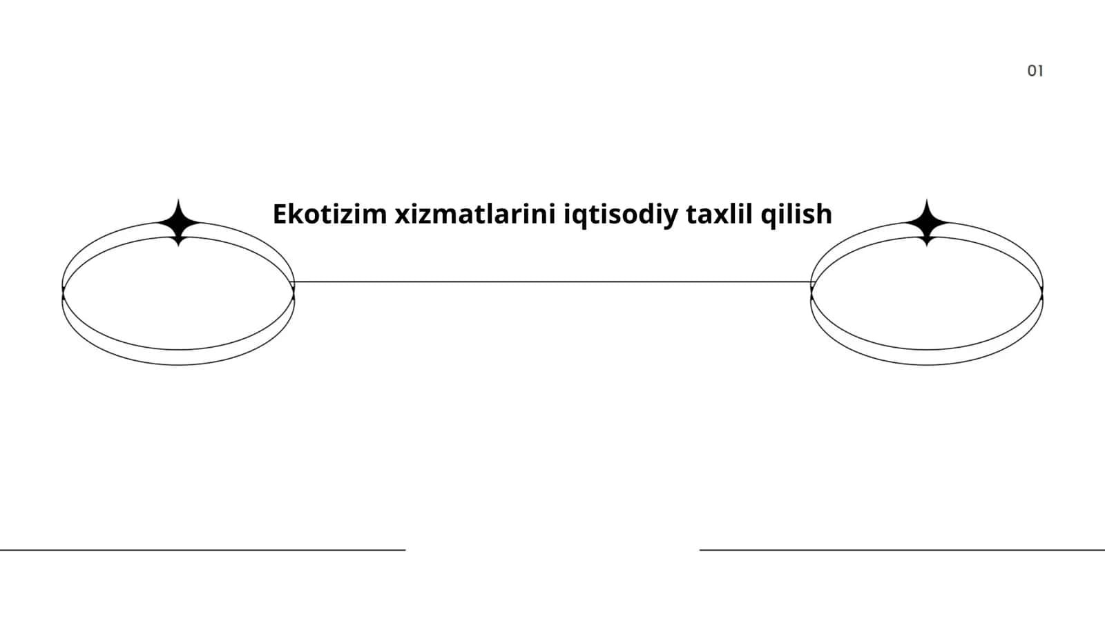Ekotizim xizmatlarini iqtisodiy taxlil qilish 1