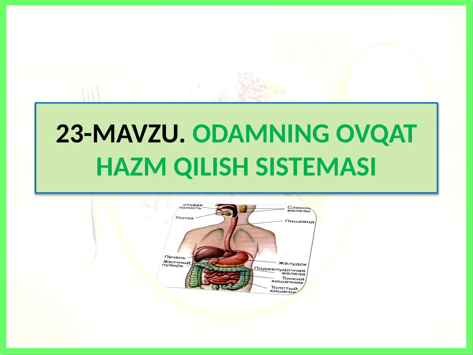 ODAMNING OVQAT HAZM QILISH SISTEMASI 1