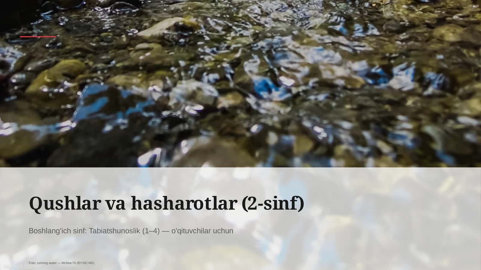 Qushlar va hasharotlar (2-sinf) 1