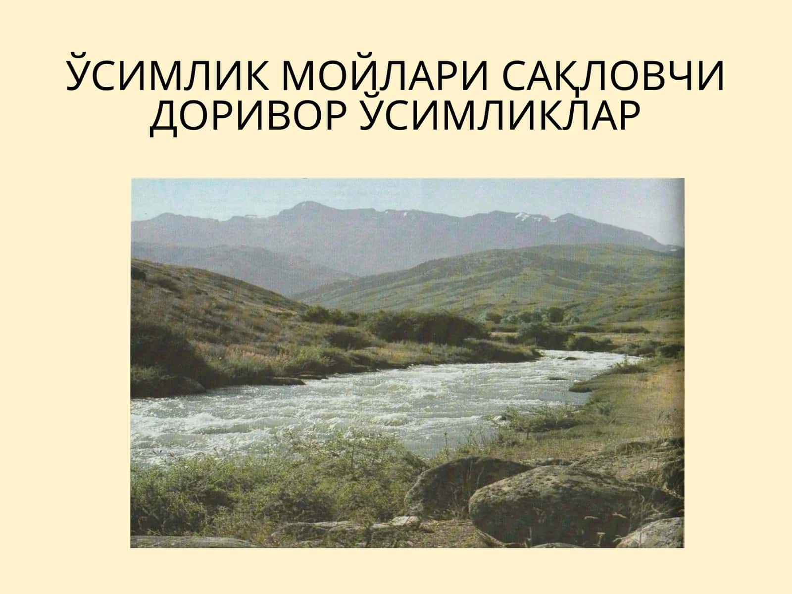 Ўзимлик мойлари 1