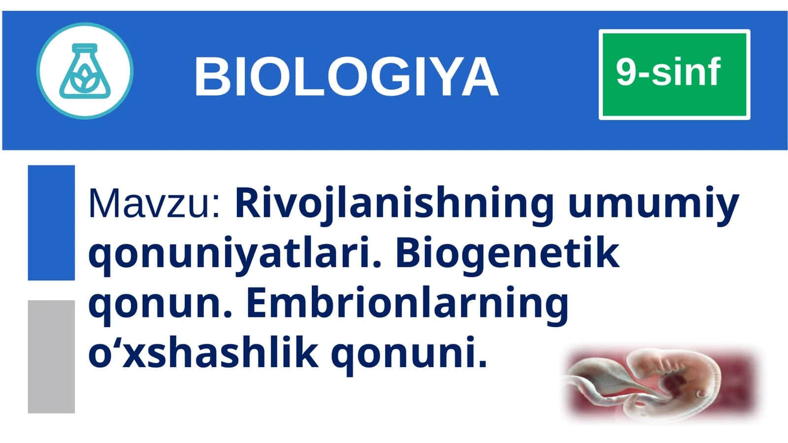 Rivojlanishning umumiy qonuniyatlari. Biogenetik qonun. Embrionlarning o‘xshashliklari 1