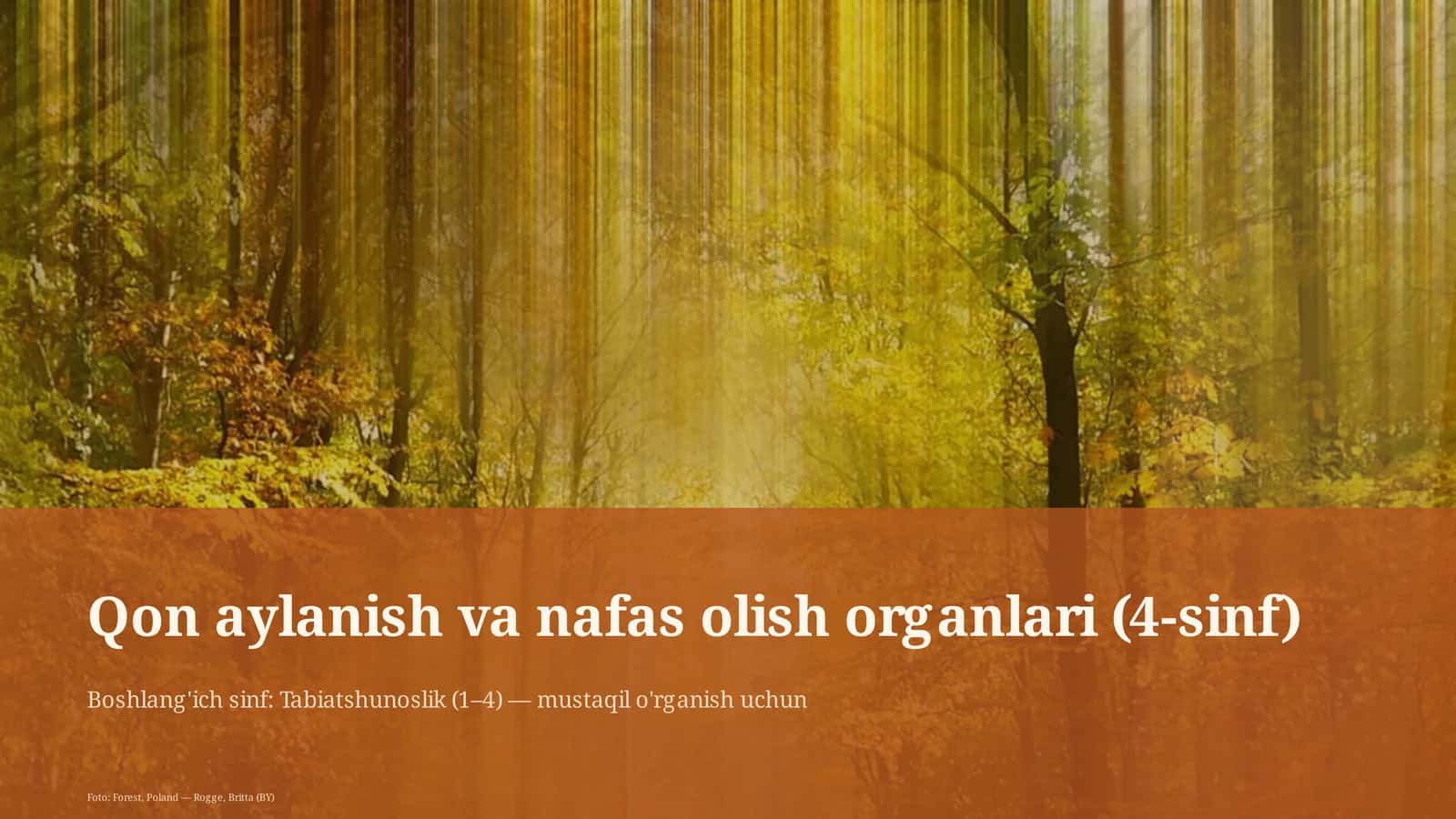 Qon aylanish va nafas olish organlari (4-sinf) 1
