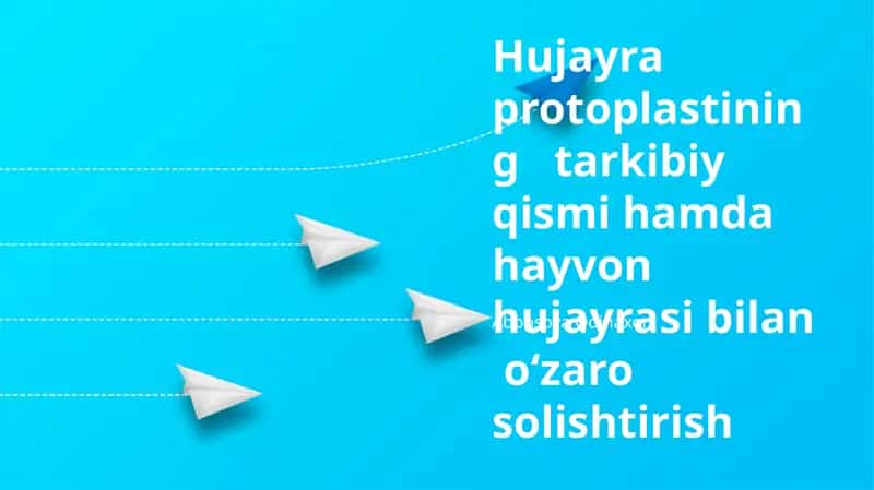 Hujayra protoplastining tarkibiy qismi hamda hayvon hujayrasi bilan oʻzaro solishtirish 1