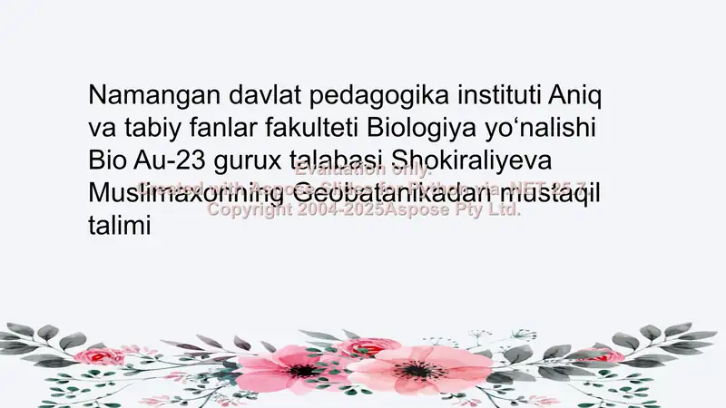 Preview 1