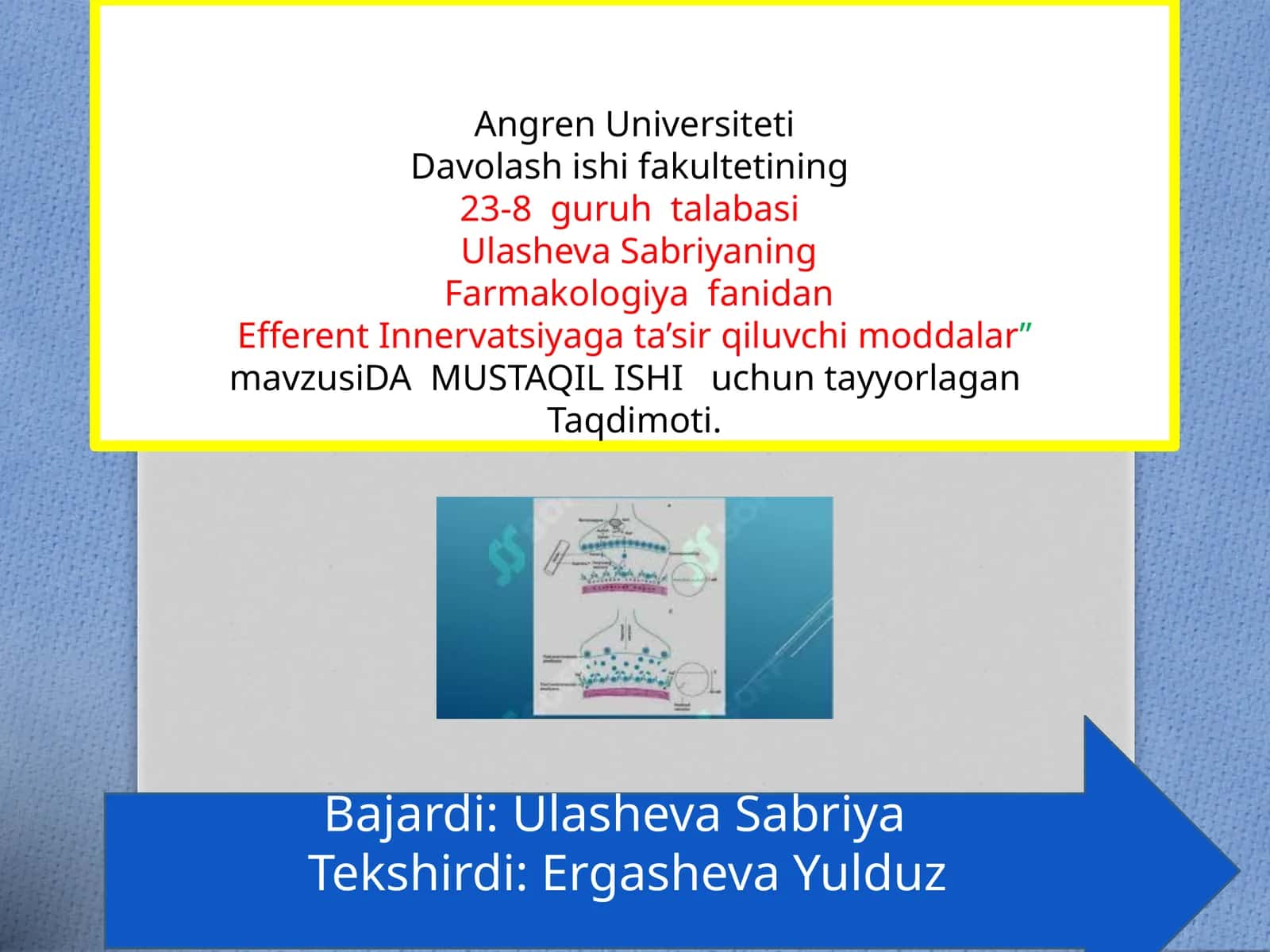Efferent Innervatsiya gata’sirqiluvchi moddalar 1