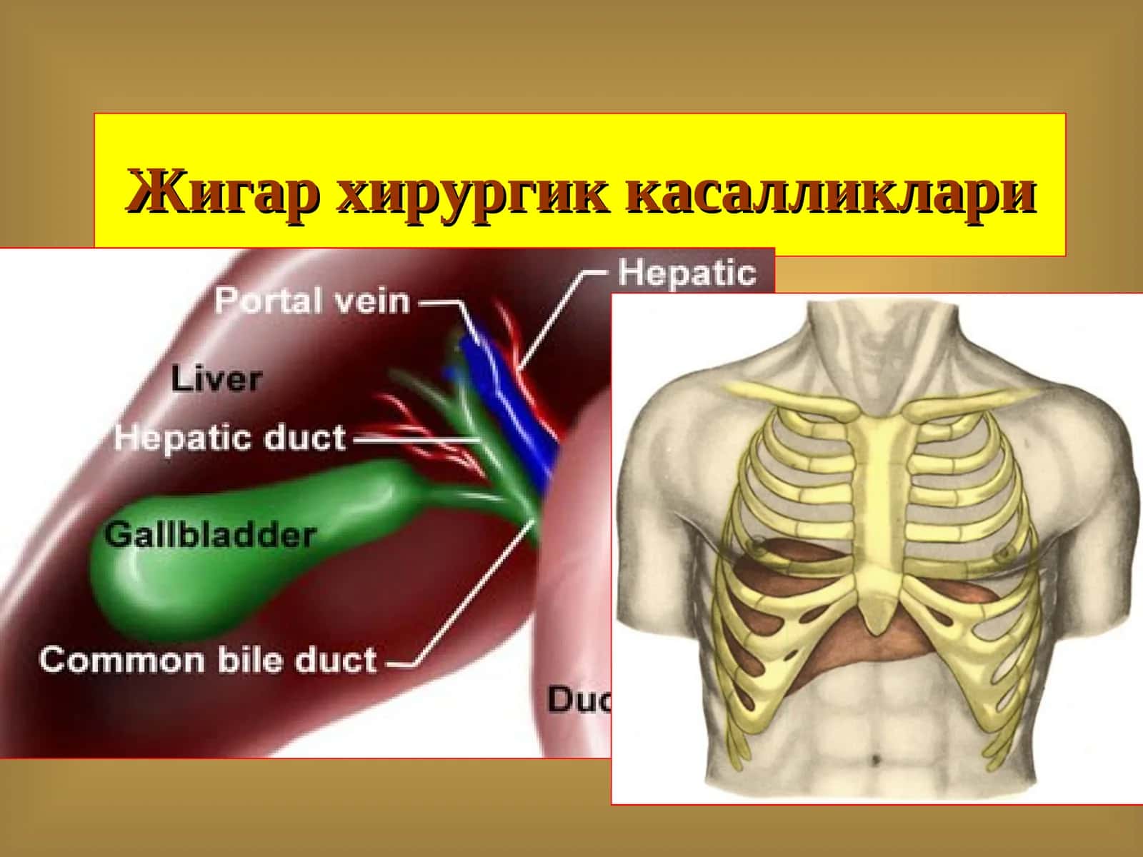 Жигар хирургик касалликлари 1