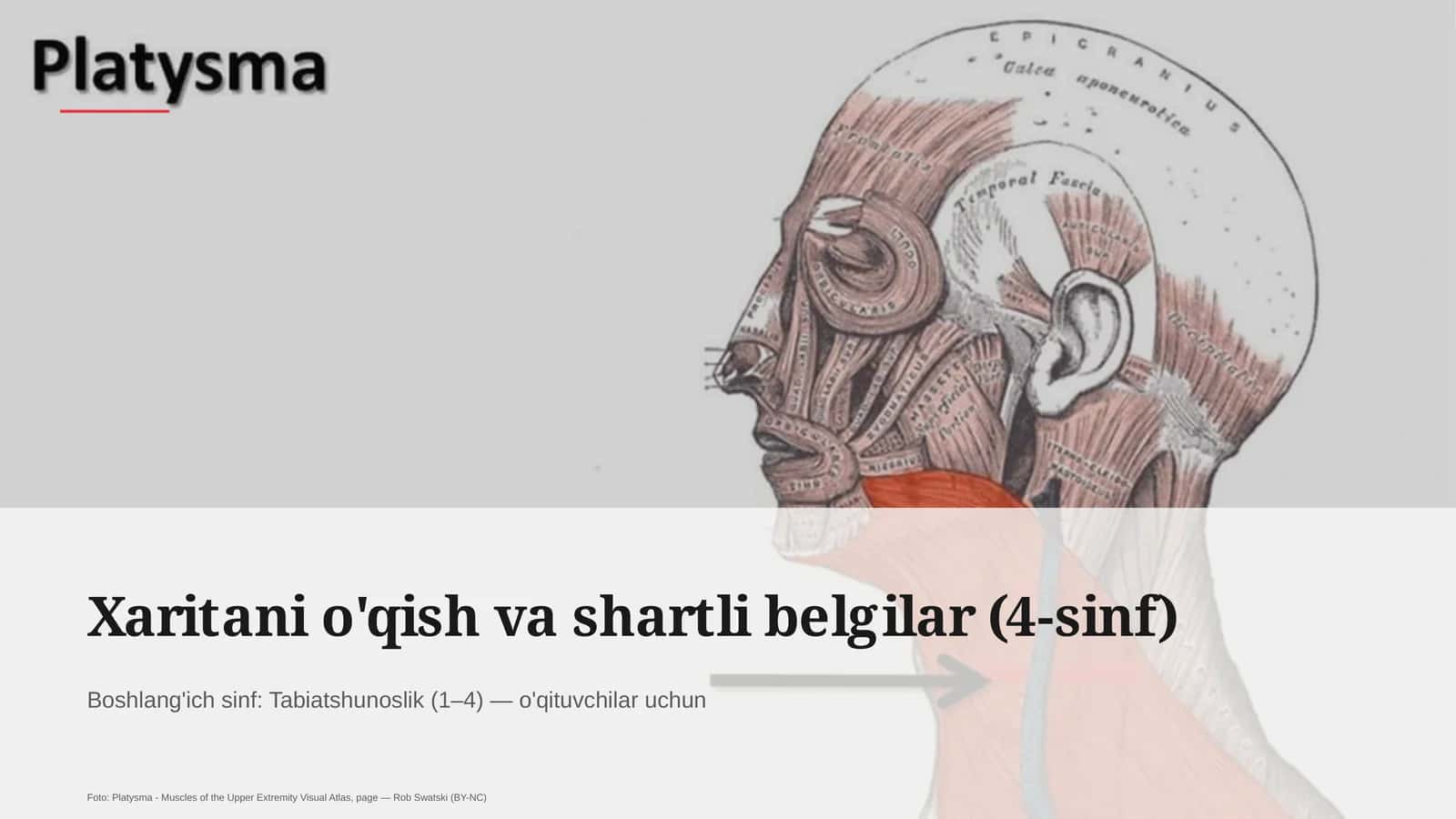 Xaritani o'qish va shartli belgilar (4-sinf) 1