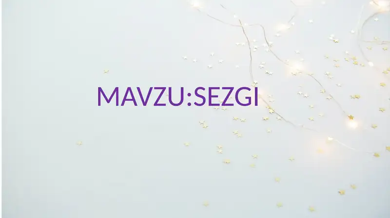 SEZGI 1