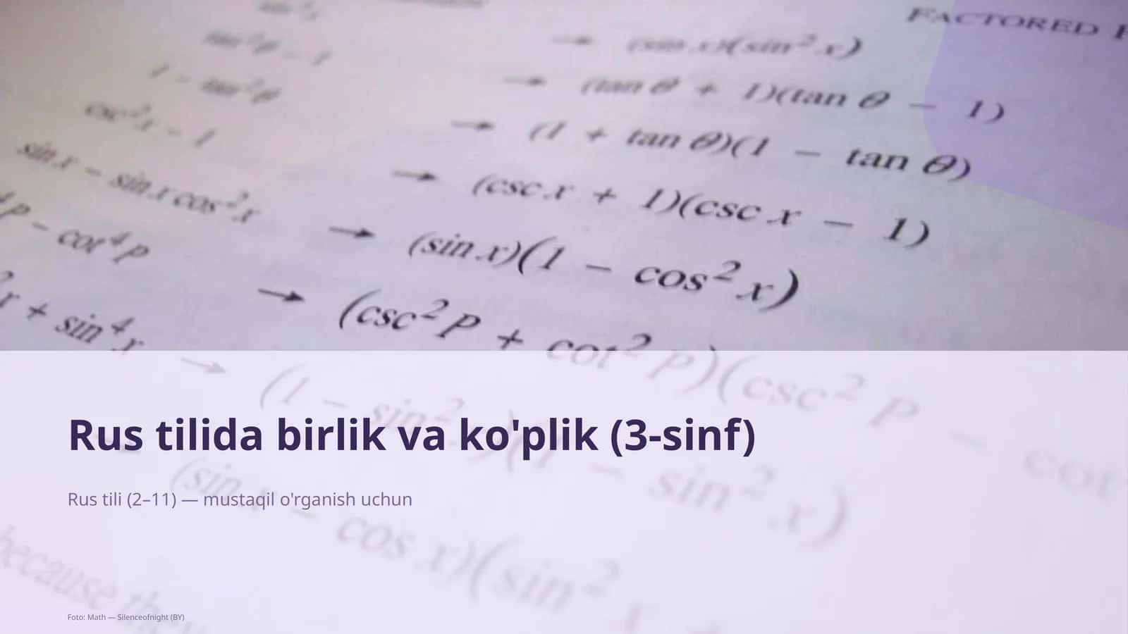 Rus tilida birlik va ko'plik (3-sinf) 1