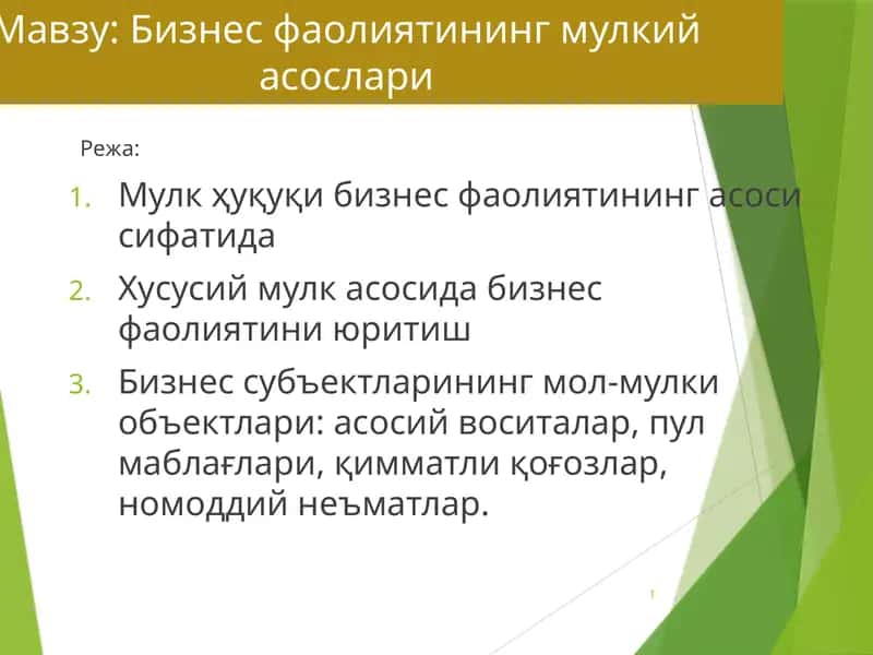 Бизнесфаолиятинингмулкийасослари 1