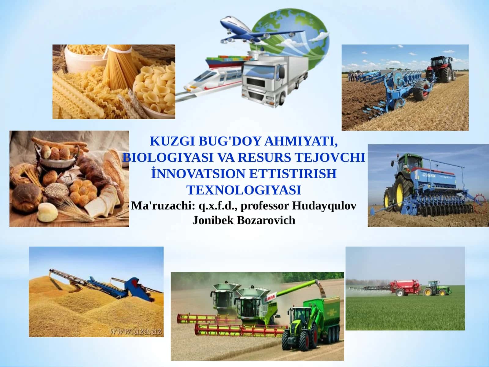 KUZGI BUG'DOY AHMIYATI, BIOLOGIYASI VA RESURS TEJOVCHIİNNOVATSION ETTISTIRISH TEXNOLOGIYASI 1