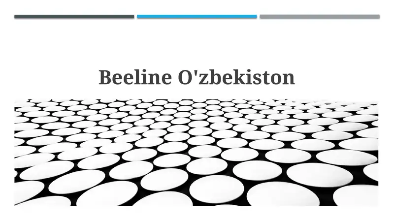 Beeline Uzbekistan 1
