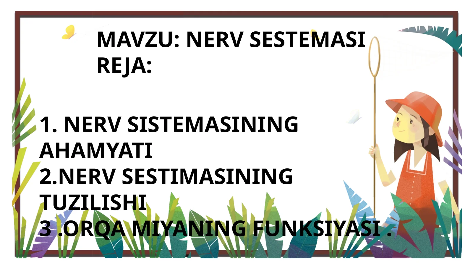 NERV SESTEMASI 1