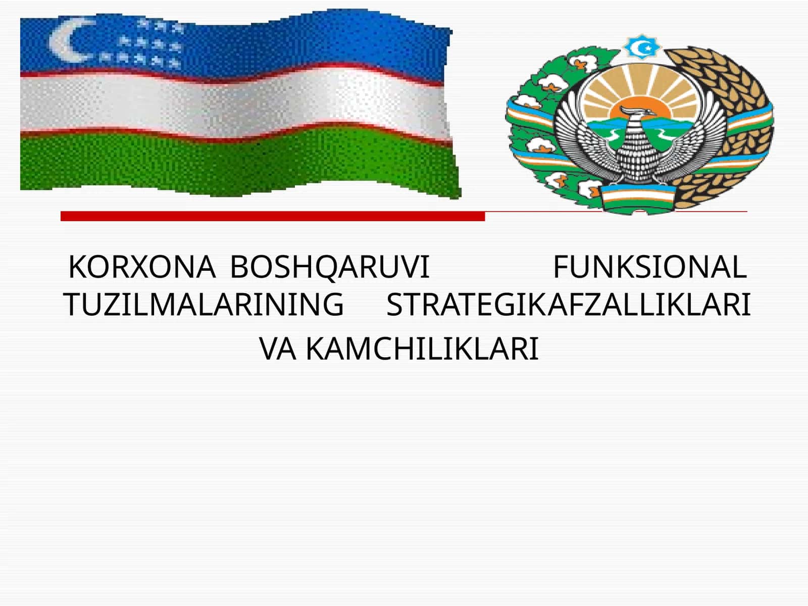KORXONA BOSHQARUVI FUNKSIONAL TUZILMALARINING STRATEGIK AFZALLIKLARI VA KAMCHILIKLARI 1