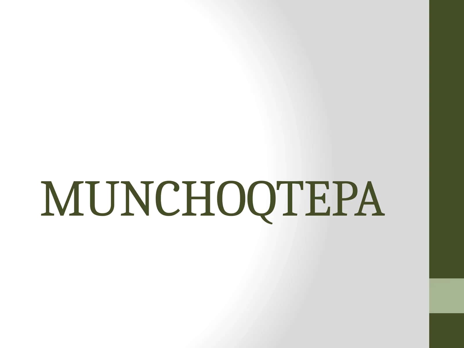 MUNCHOQTEPA 1
