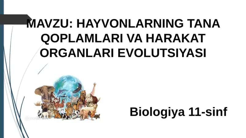 HAYVONLARNING TANA QOPLAMLARI VA HARAKAT ORGANLARI EVOLUTSIYASI 1