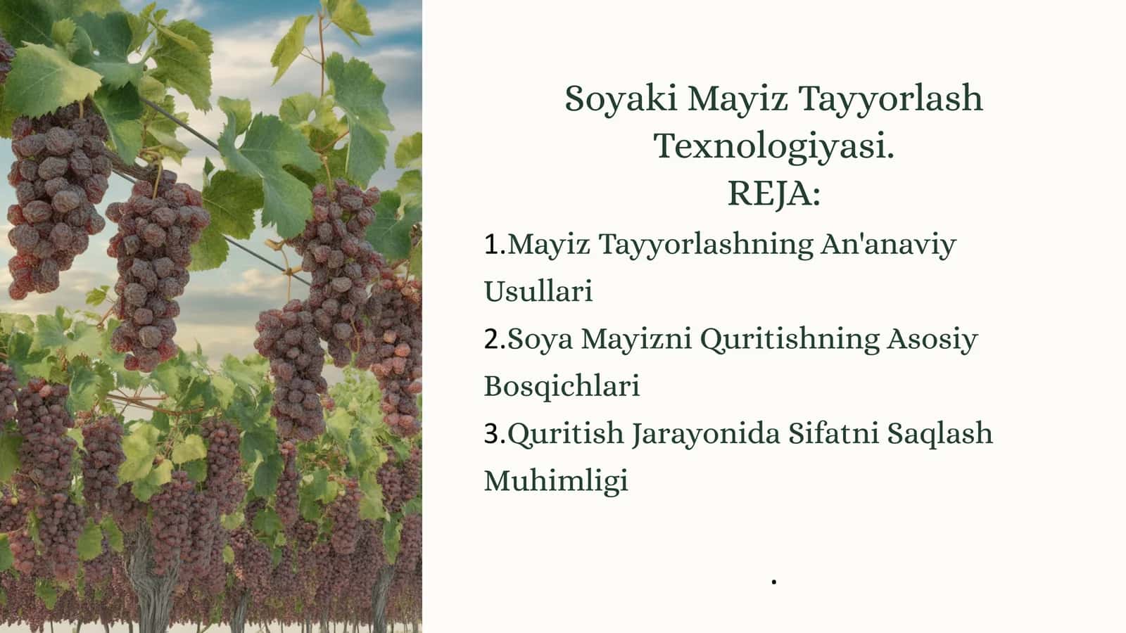 Soyaki Mayiz Tayyorlash Texnologiyasi 1
