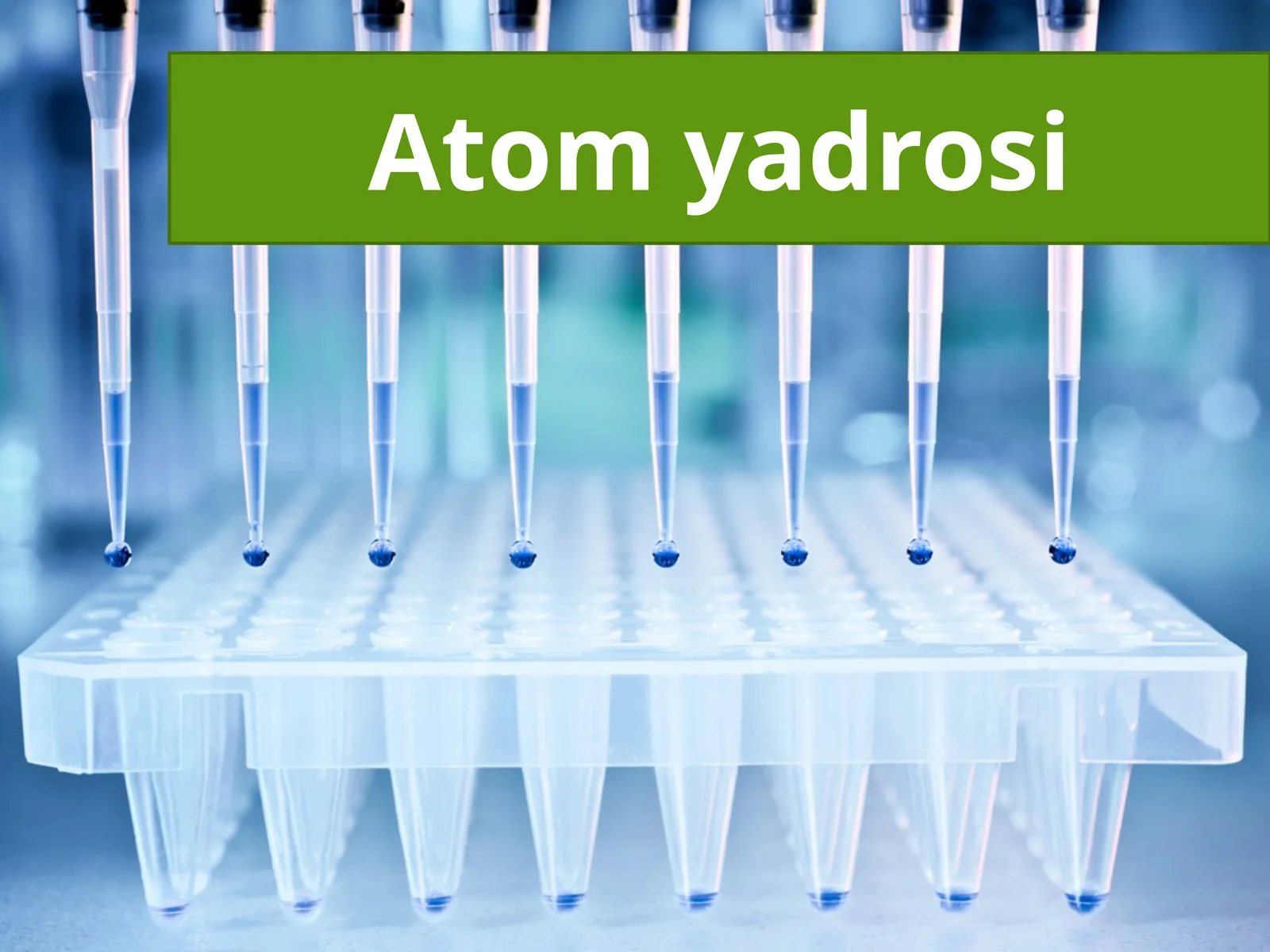 Atom yadrosi 1
