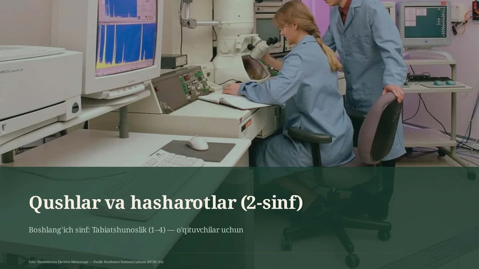 Qushlar va hasharotlar (2-sinf) 1