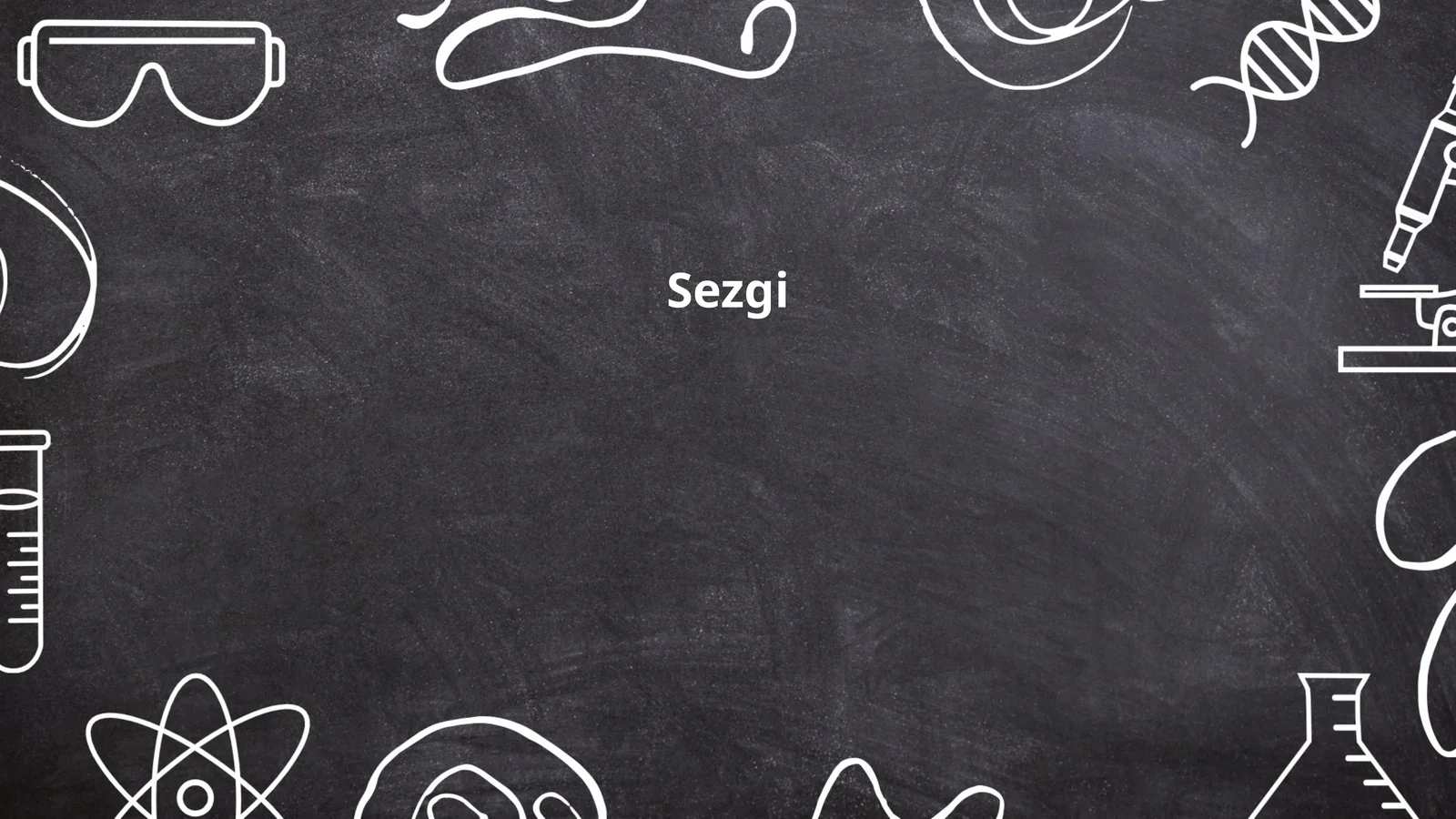 Sezgi 1
