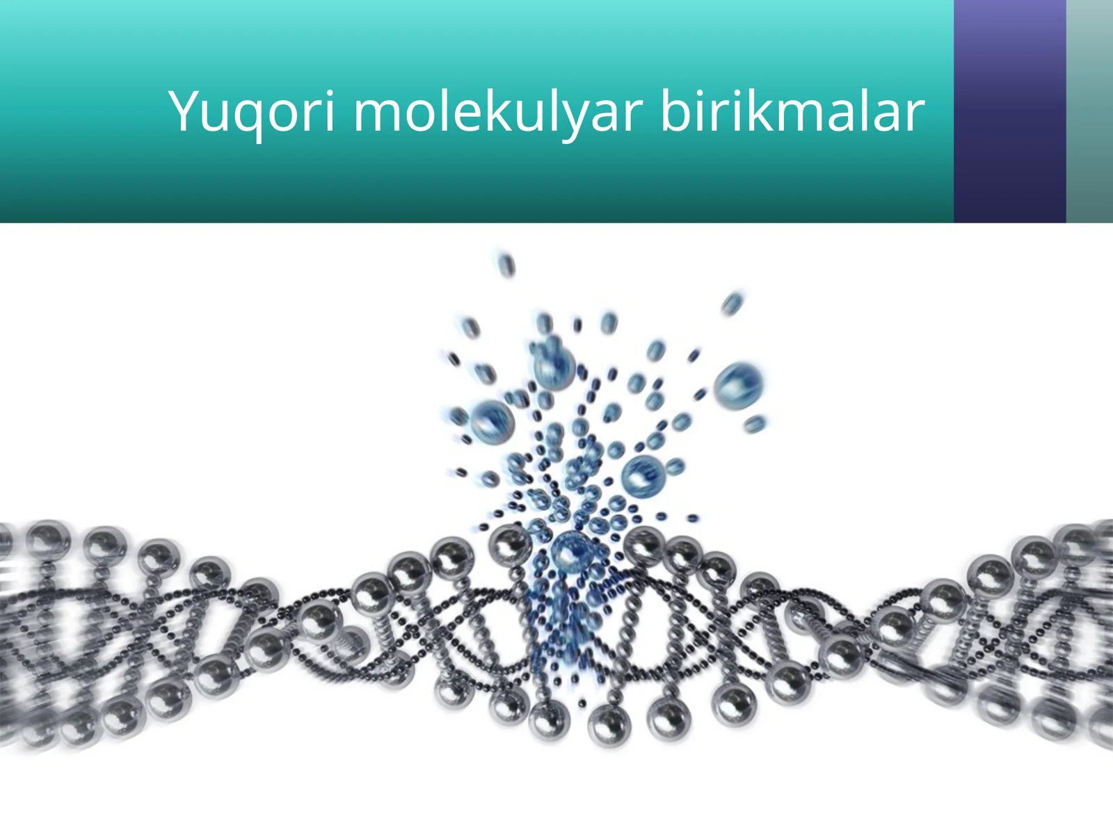 Yuqori molekulyar birikmalar 1