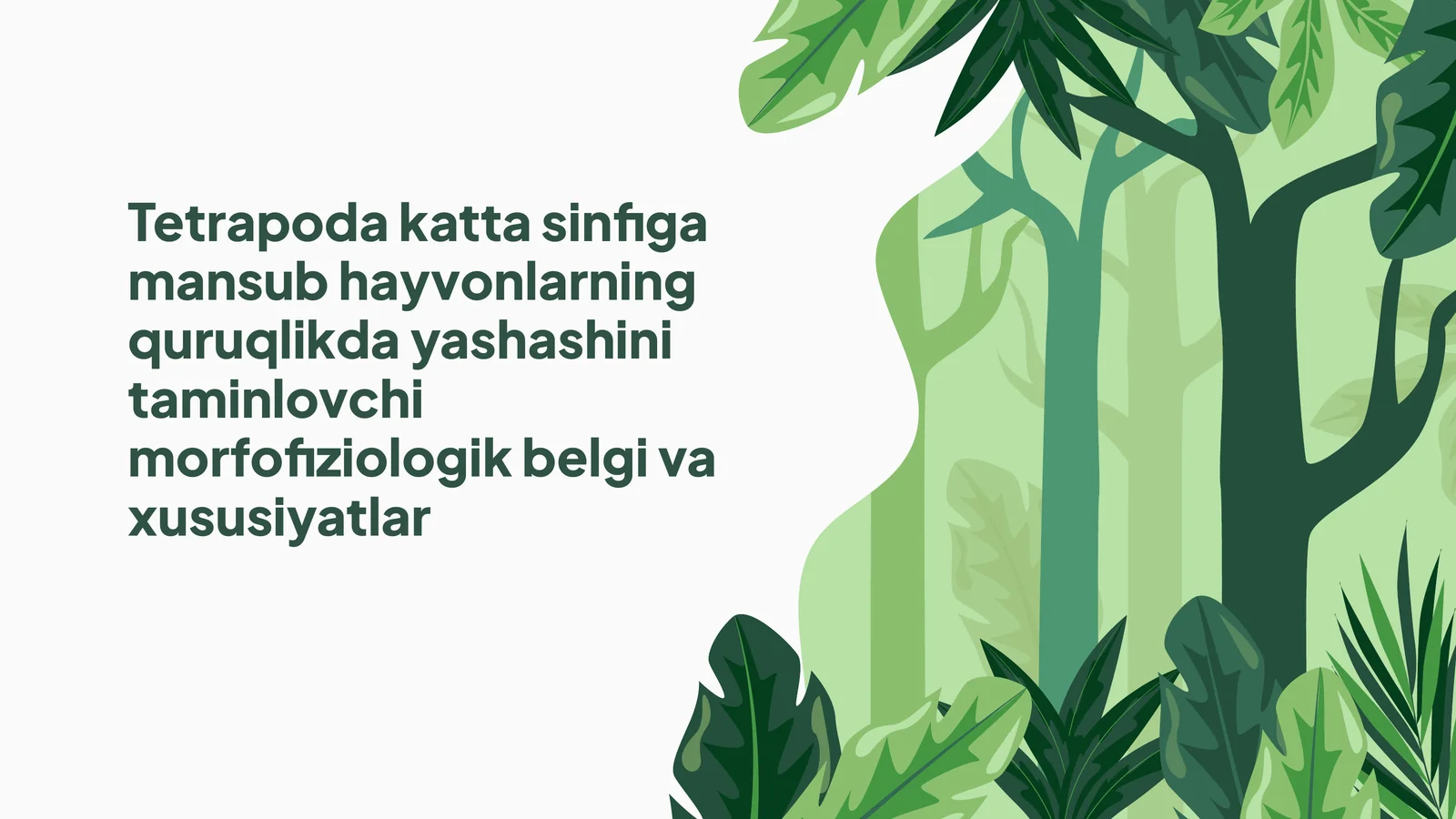 Tetrapoda Katta Sinfiga Mansub Hayvonlarning Quruqlikda Yashashini Taminlovchi Morfofiziologik Belgi va Xususiyatlar 1